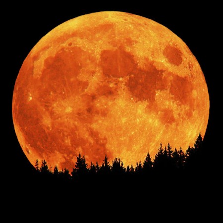 Goodnight Moon – Will Kimbrough Goodnight moon, good night stars