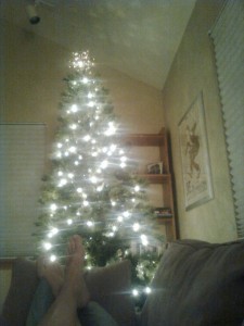 christmas tree'