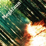 gather form and fly - megafaun